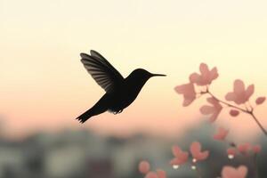 A Hummingbird Soars Through a Sunrise Blossom photo