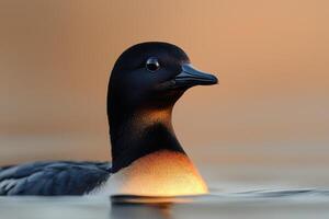 Stunning of a Bird in Flight, Profile View, Perfect for Nature Lovers photo