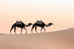 Desert Camel Caravan Journey A Timeless Adventure Through Sands photo