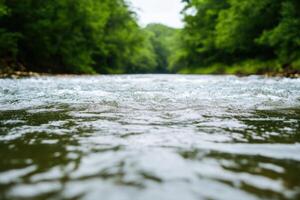 Serene River Flowing Through Lush Forest A Tranquil Nature Scene photo