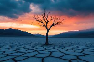 A solitary tree stands sentinel against a cracked earth landscape at sunset. A breathtaking view of nature's resilience. photo