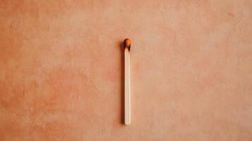 Burnt Match A Minimalist Still Life photo