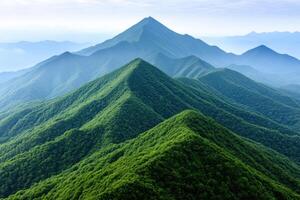 Majestic Mountain Range A Lush Green Forest Landscape photo