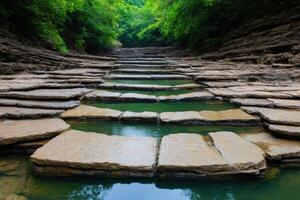 Serene Stone Steps Cascading Through a Lush Forest Stream photo