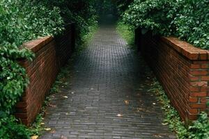 Rainy Cobblestone Alleyway Between Brick Walls photo