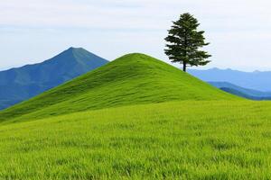 Serene Mountain Landscape with Lush Green Grass and a Solitary Tree photo