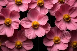 of Exquisite Pink Flowers with Detailed Petals and Yellow Centers photo