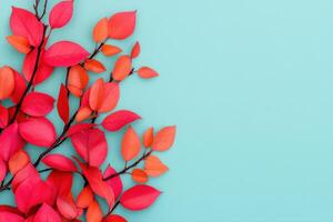 Autumn Leaves on Turquoise Background Vibrant Fall Colors photo