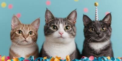 Three Adorable Cats Celebrating a Birthday Party photo
