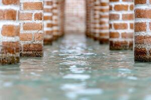 Flooded Venetian Columns A Glimpse into History's Depth photo