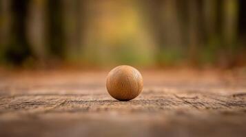 Wooden Sphere on a Rustic Wooden Path in a Forest photo