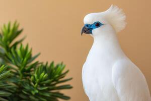 Stunning White Bird Portrait Against a Soft Beige Background photo