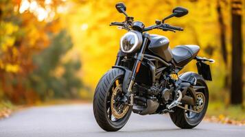 Stunning Black Motorcycle on a Scenic Autumn Road photo