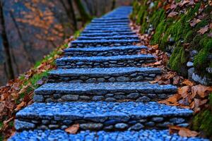 Serene Stone Steps Winding Through Autumnal Forest photo