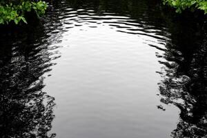 Serene Water Reflections of a Forest Landscape photo