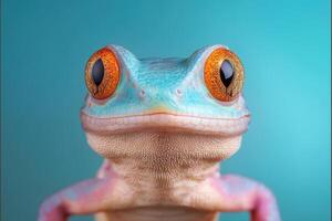 of a Colorful Gecko with Vibrant Eyes photo