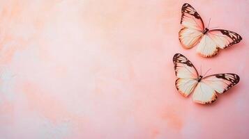 Butterflies resting on a soft pink background photo