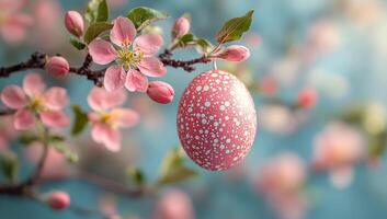 Vibrant egg on apple tree. A decorative pink egg with white spots hangs from a vibrant apple tree branch adorned with blooming pink flowers. photo