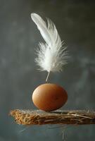 Egg balanced on straw with a feather. A brown egg balances on a piece of straw, topped with a delicate white feather against a blurred dark background. photo