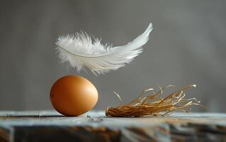Feather floats over egg, straw. A delicate white feather hovers above a brown egg and straw on a textured surface in a calm setting. photo