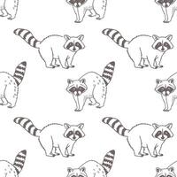 Seamless pattern with cute hand drawn raccoons. Raccoons on a white surface. Sketch illustration, background. vector