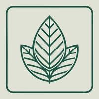 inimalist green leaf emblem in rounded square frame vector