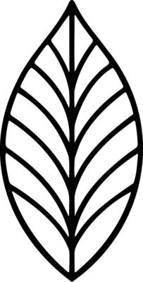 Black-and-white symmetrical leaf outline illustration