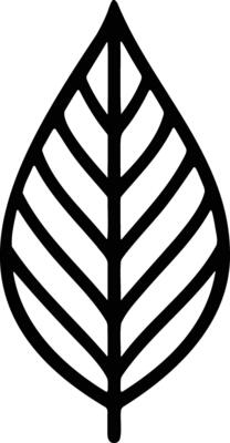 Symmetrical black-and-white leaf illustration with intricate vein design