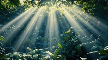Sunbeams Through Lush Foliage A Forest Sanctuary of Light and Shadow photo
