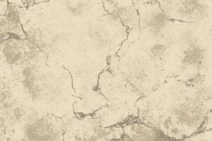 Scratch Grunge Urban Background. Distress texture for your design. vector