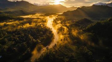 Golden River Valley Mist and Light at Dawn over a Tropical Forest Landscape photo