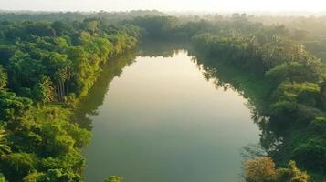 Forest Reflections Serene River Landscape with Lush Greenery and Calming Waterway photo