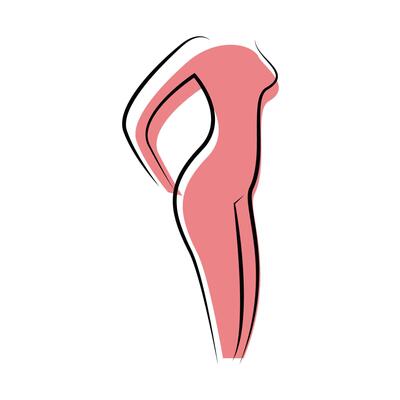 A woman's body is shown in a drawing