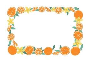 Oranges, frame border with simple fruits and flowers. Slices of fruity, natural food. Orange wreath, empty summer background with space for text. Color flat illustration. Isolated white background. vector