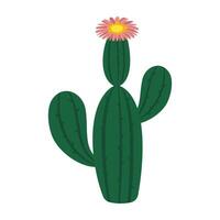 Minimal cactus illustrations with tall shapes and blooming flowers vector