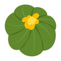 Cactus and succulent collection with flowers and unique shapes. vector