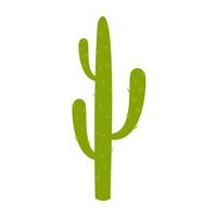 Minimal cactus illustrations with tall shapes and blooming flower vector