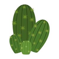 Colorful cactus and succulent collection with flower and unique shapes. vector