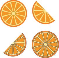set of fresh orange fruit round slices and half slice isolated on white background, design element vector