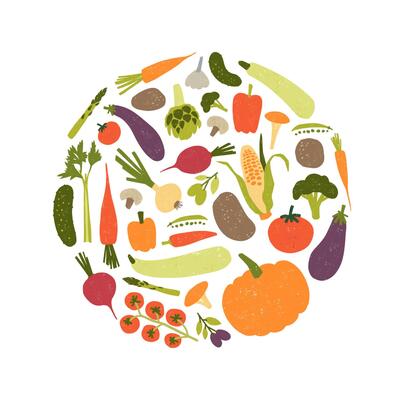Round decorative composition with fresh raw ripe vegetables or harvested crops. Circular design element with veggie food products isolated on white background. Colored flat modern illustration.