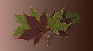 A drawing of a maple leaf on a brown background photo