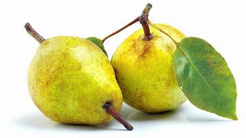 Two pears with leaves on a white background photo
