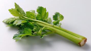 A celery stalk on a white surface photo