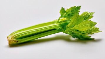 A celery stalk on a white background photo