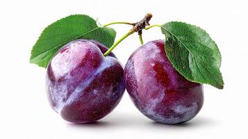 Two plums with leaves on a white background photo