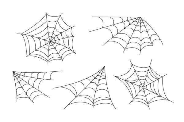 Spider webs set simple hand drawn illustration of doodle fancy Halloween scary decor elements, clipart perfect for Halloween party design, cartoon spooky character