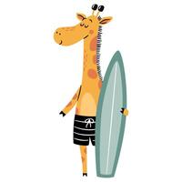 Flat illustration in a simple children's style. Cute giraffe in swimming trunks standing and holding surfboard on white background vector