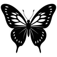 Elegant black and white butterfly silhouette with detailed wing patterns and delicate antennas on white background vector