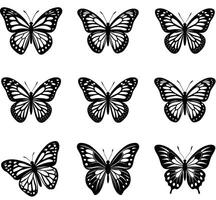 Elegant black and white illustrations of diverse butterfly wing patterns on a white background vector