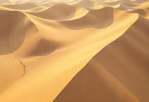 A desert with sand dunes and footprints photo